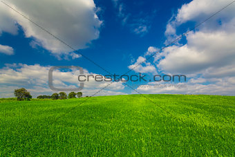 Beautiful green landscape