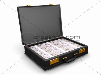 Briefcase full of money