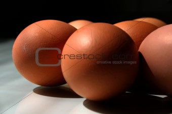 Eggs in front of black