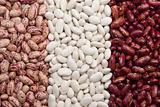 three kinds of kidney beans