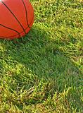 Basketball in Grass