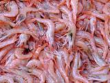 Pile of shrimps