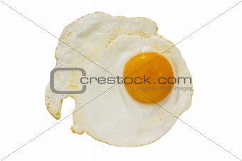 Fryed egg