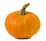 Pumpkin isolated on white  background
