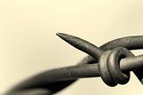 barbed wire abstract macro