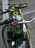 Flowered bike