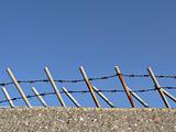 barbed fence