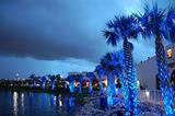Palms nightshot under blue light