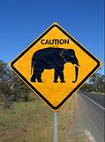 Beware of elephant