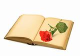 open old book with rose