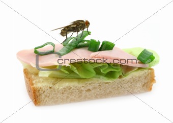 home fly sitting on delicious ham sandwich 