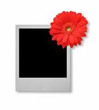 single photo frame with flower motive