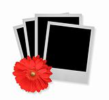 stack of photo frames with flower