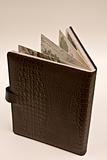 The book in leather cover