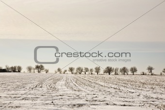 Illinois Winter Landscape