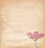 old and worn paper flower background frame