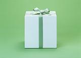Green Gift 1