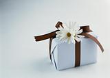 White Gift with Brown Ribbon and Flower