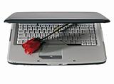 Laptop and red rose, isolated
