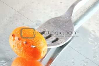 Cold Kumquat