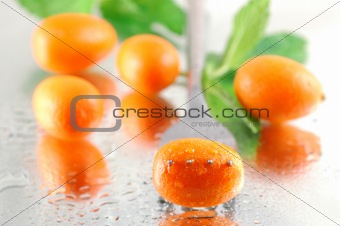 Cool Kumquats