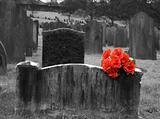 Blank headstone in graveyard with bunch of red roses