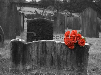 Blank headstone in graveyard with bunch of red roses