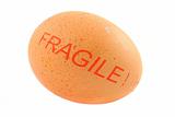 fragile free-range egg