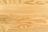 texture of real wood