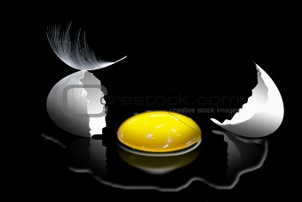 egg and feathers