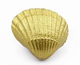 golden sea shell