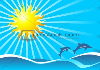 Sun sea and dolphins