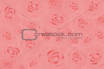 Nice red roses - background
