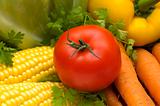 red tomato and vegetables