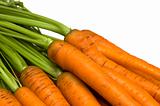 fresh carrot on white background