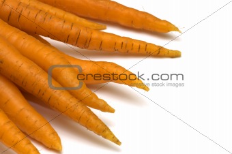fresh carrot on white background