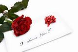 beautiful red rose - valentine card