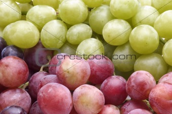 red and green grapes