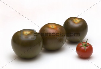 black tomatoes on white background