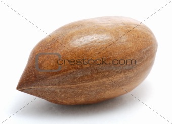 Pecan nut