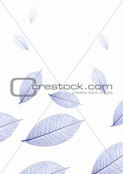 Falling Blue Leaves