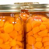 Macro Canned Carrots