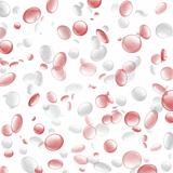 Red and White Interspersed Blood Cells