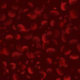 Red Blood Cells on a Maroon Background
