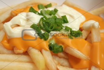Cheese Fries with Sauce, Mayonaise and Spring Onions
