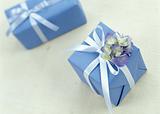 Two Blue Gifts with White Ribbon