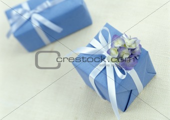 Two Blue Gifts with White Ribbon