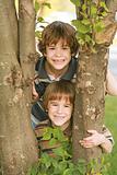 Boys in a Tree