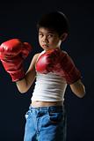 Little boy boxer