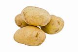 young potatoes on the white background